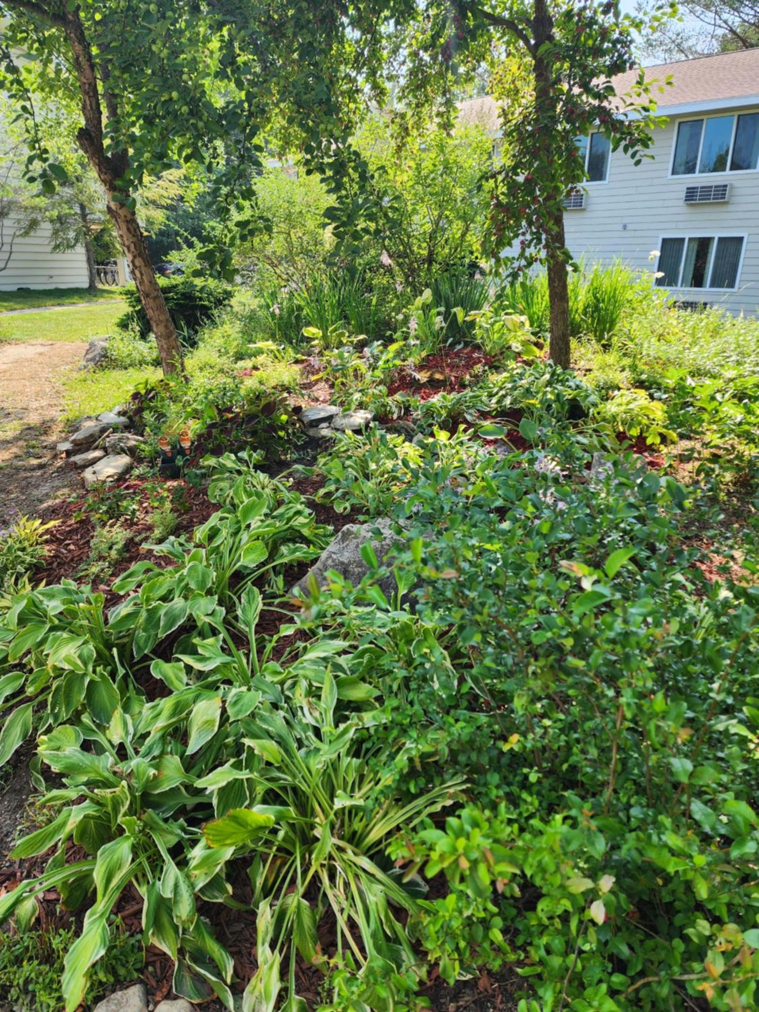 Parkwood Lodge Fish Creek Exterior foto